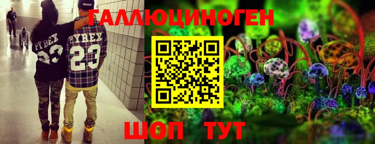 Качканар  Псилоцибиновые грибы MAGIC MUSHROOMS  Вход с VPN 